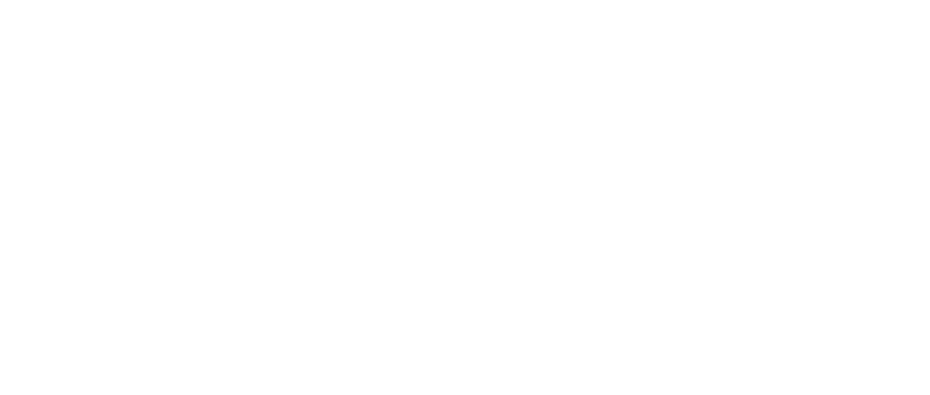 Hologram Zoo Lehigh Valley logo