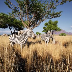 Zoo Experience: Africa