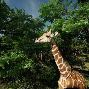 Zoo Experience Bundle: Two Zoo Shows